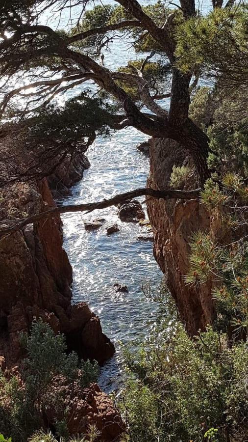 Raphael, Cap Esterel Le Hameau. Vue *